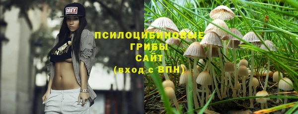 PSILOCYBIN Володарск