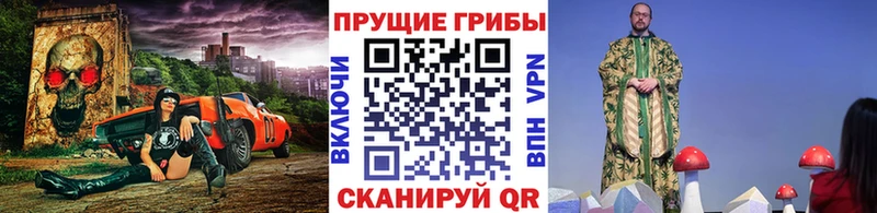 Псилоцибиновые грибы прущие грибы  Купить закладки  Котлас 